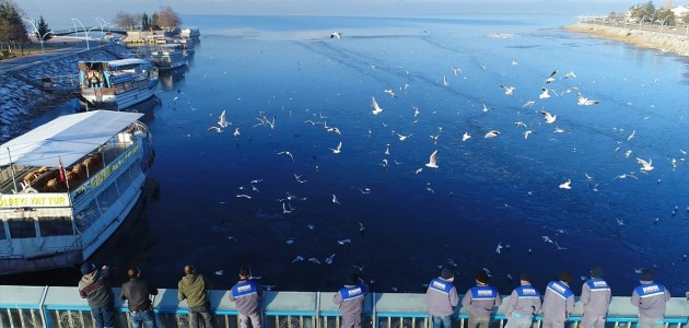  Beyşehir Gölü'nde Belediye Ekipleri Kuşları Besledi
