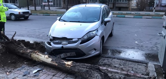  Akşehir'de Otomobil Ağaca Çarptı: 1 Yaralı
