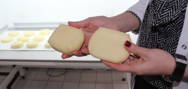  Fesleğen Tohumuyla Kaşar Peynirindeki Küflenmeyi Önleyecek Proje