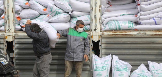  Konya'da 200 ton sertifikalı yerli mercimek tohumu çiftçilere dağıtıldı