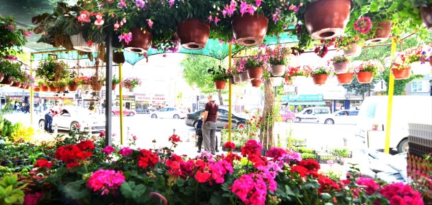  Konya'da Çiçekçilerde Bahar Dönemi Yoğunluğu Yaşanıyor
