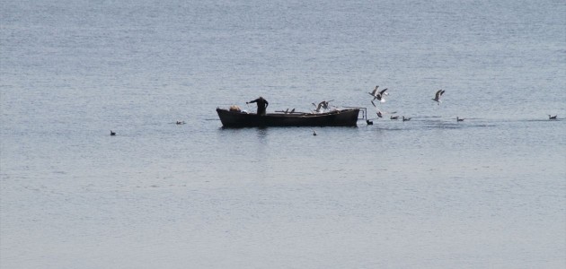  Beyşehir Gölü'nde teknelerinin peşine takılan martıların balık kapma yarışı
