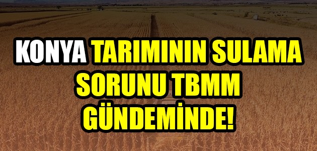  KONYA TARIMININ SULAMA SORUNU TBMM GÜNDEMİNDE