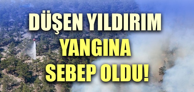  DÜŞEN YILDIRIM YANGINA SEBEP OLDU!