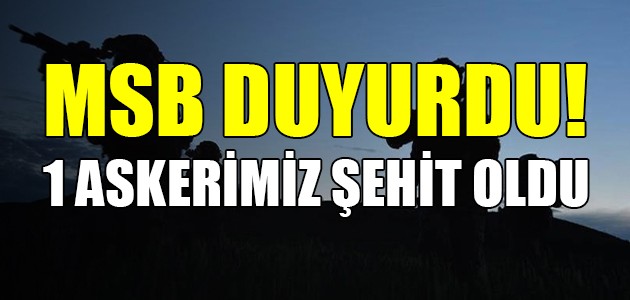  MSB DUYURDU! 1 ASKERİMİZ ŞEHİT OLDU