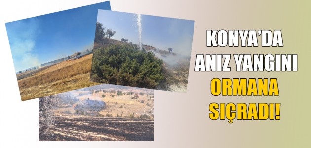  Konya'da anız yangını ormana sıçradı!