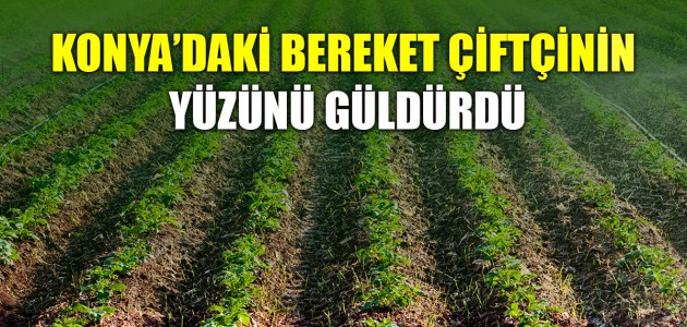  KONYA’DAKİ BEREKET ÇİFTÇİNİN YÜZÜNÜ GÜLDÜRDÜ