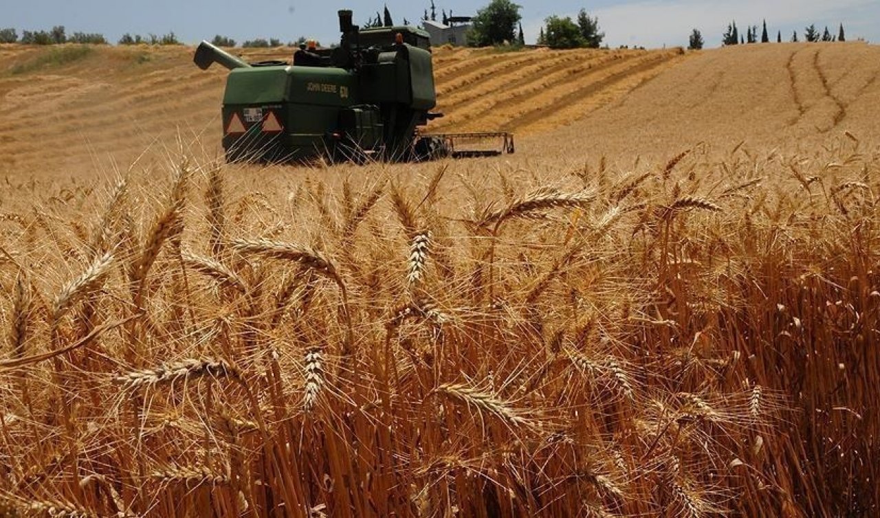   Çiftçilere Prim Desteği Ve Hasar Tazminatı Ödendi