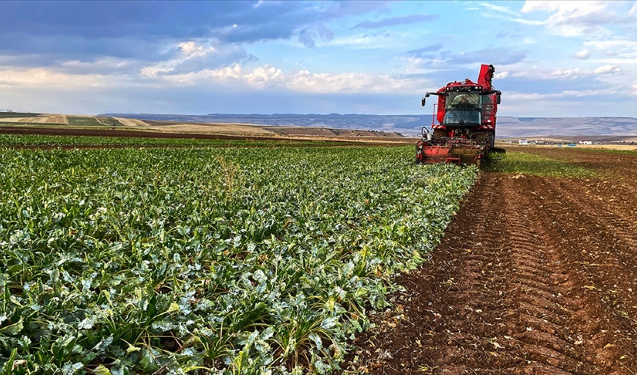 Çiftçilere 9 milyarlık dev destek: Bugün hesaplara yatırılıyor