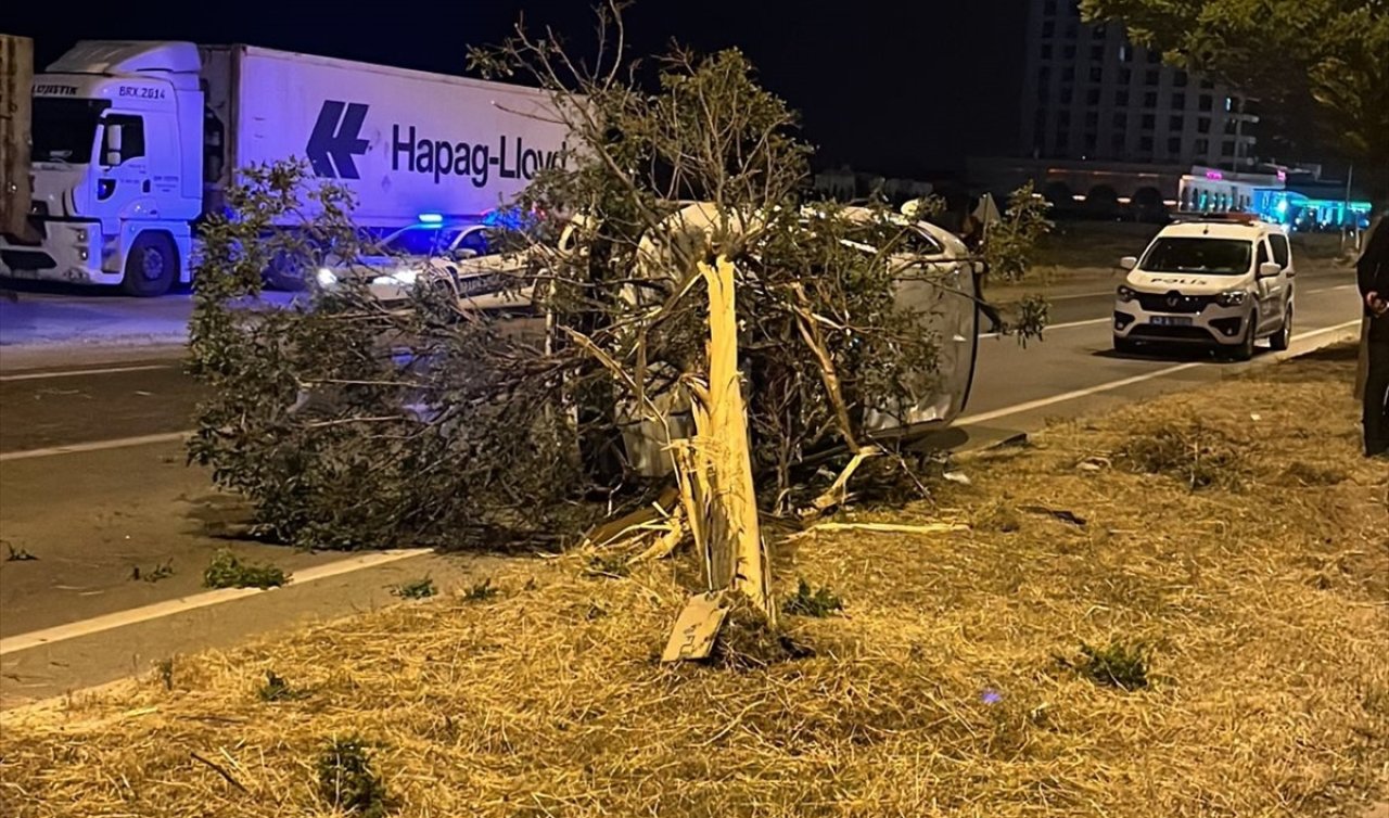 Konya’da otomobil refüjdeki ağaca çarptı! 2 kişi yaralandı 