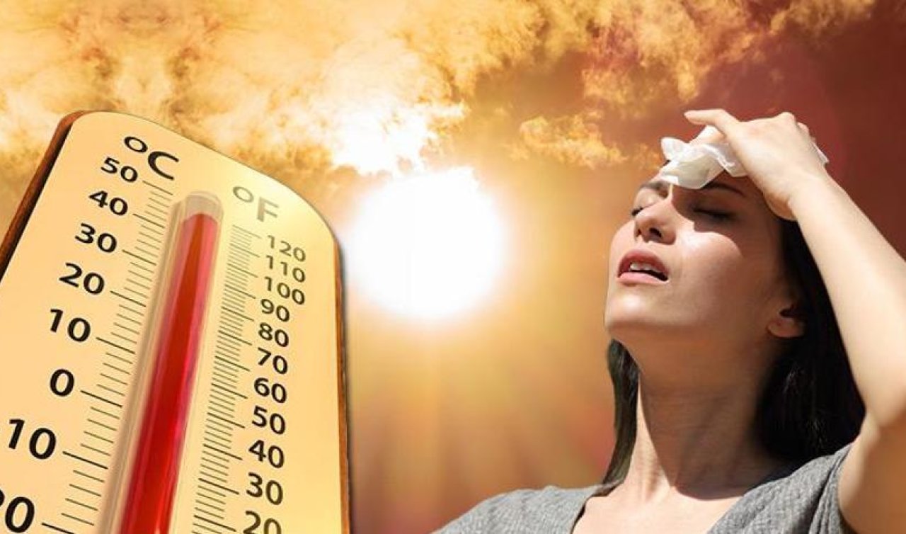 Hava sıcaklıklarının artışı  hastalıklar için risk faktörü!
