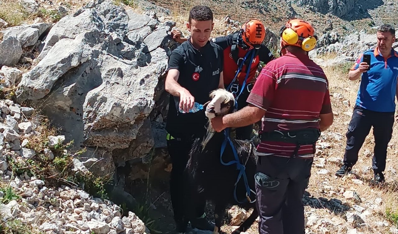 Konya’da kayalıklarda mahsur kalan keçi kurtarıldı