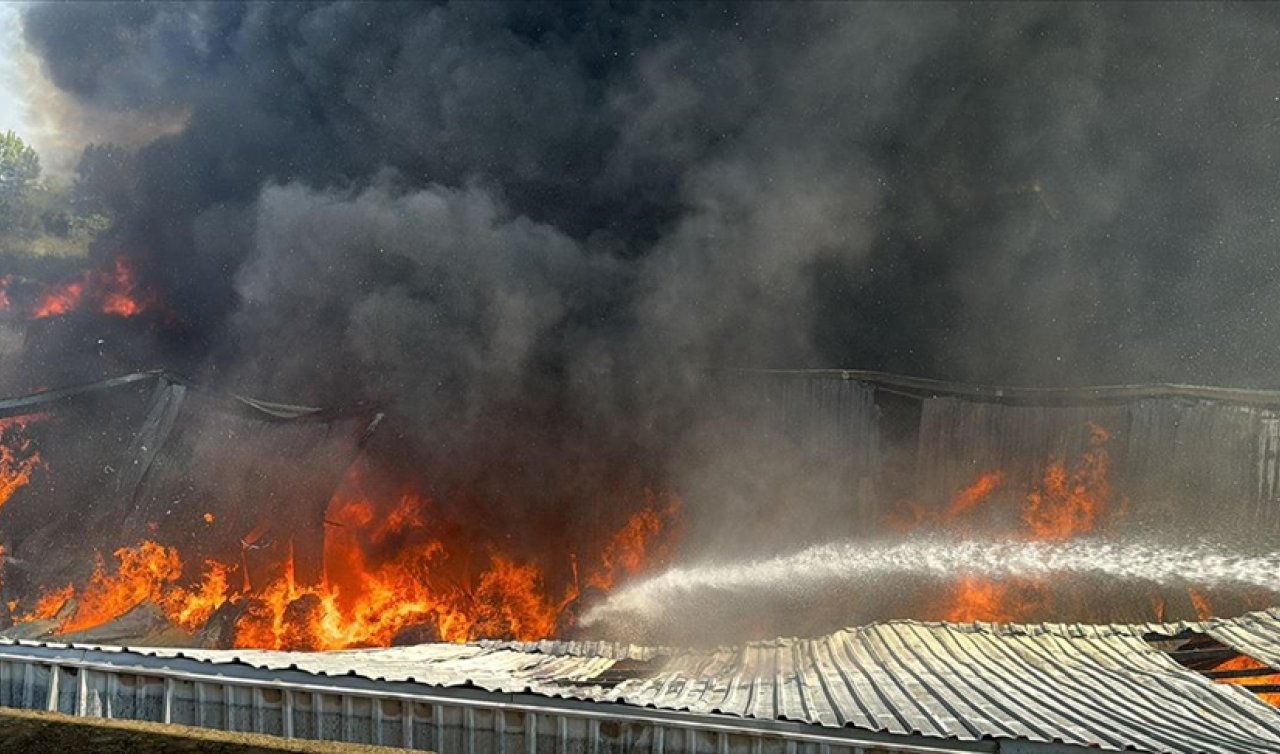 Bursa’da fabrikalar yanıyor!