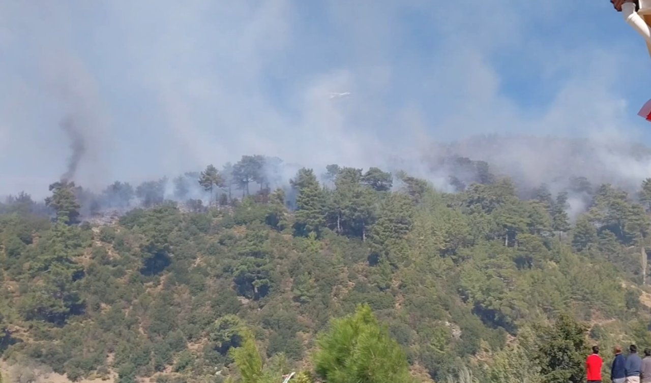  Muğla’da iki ilçede orman yangını çıktı!