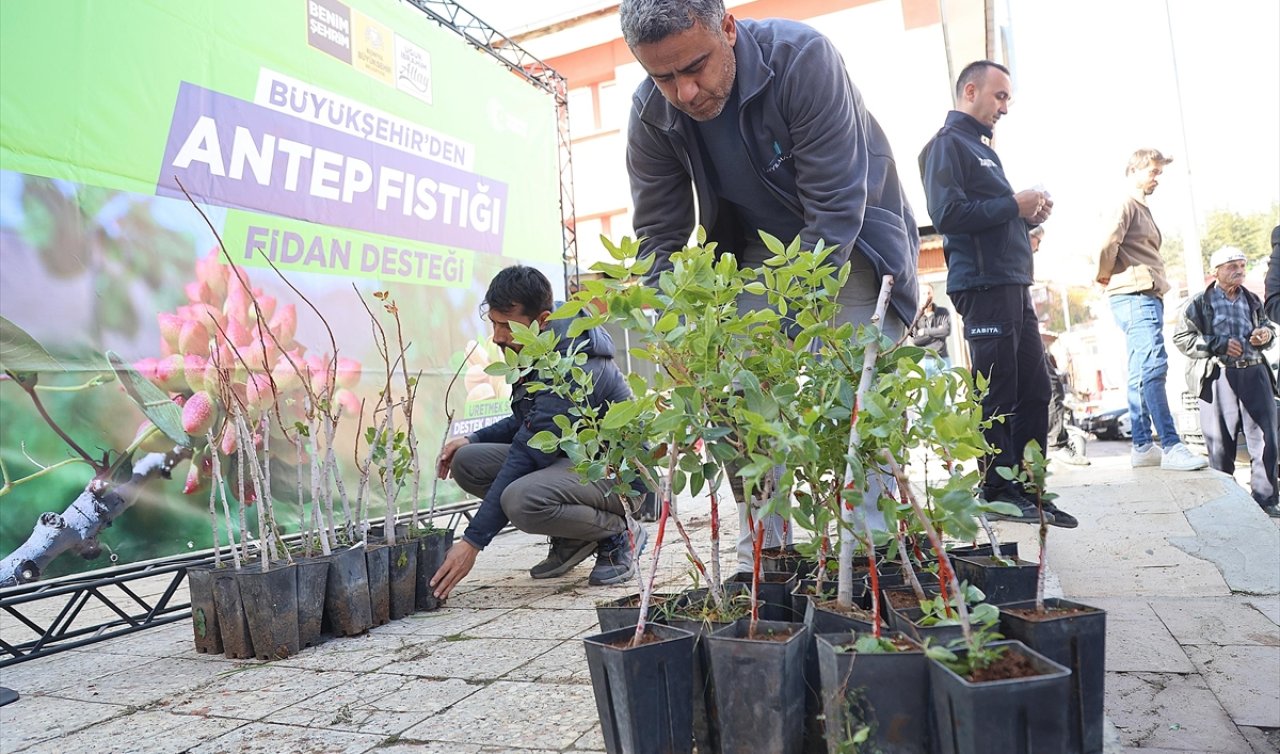 Konya’nın 3 ilçesinde Antep fıstığı üretimine destek!