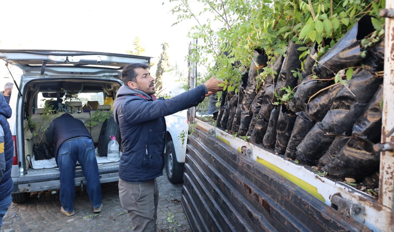 Konyalı Çiftçilere Sumak Fidanı Desteği: Doğal İlaç Tarımda