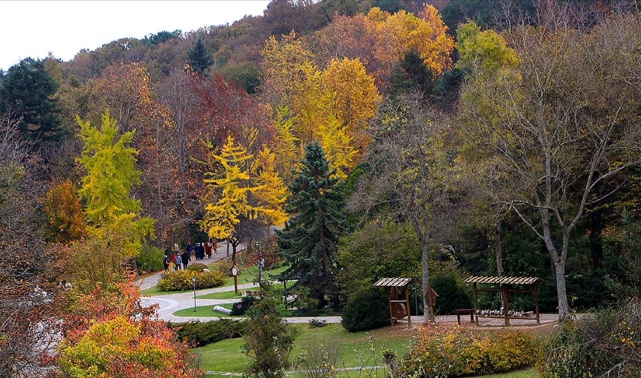 DMM, “Belgrad Ormanı imara açılıyor“ iddiasını yalanladı!