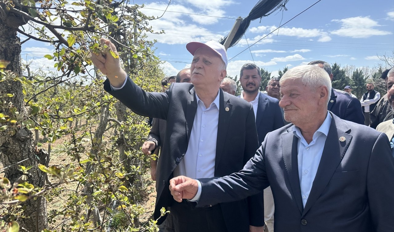 TZOB Genel Başkanı Bayraktar, Konya’da zirai dondan etkilenen elma bahçelerini inceledi