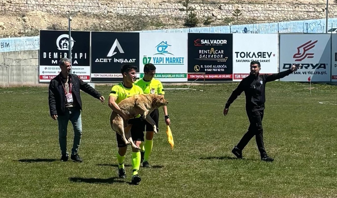 Köpek girdi, kırmızı kart çıktı:  Konya’da Amatör maçta unutulmaz anlar